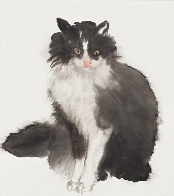Sylvester by Fiona McMonagle 