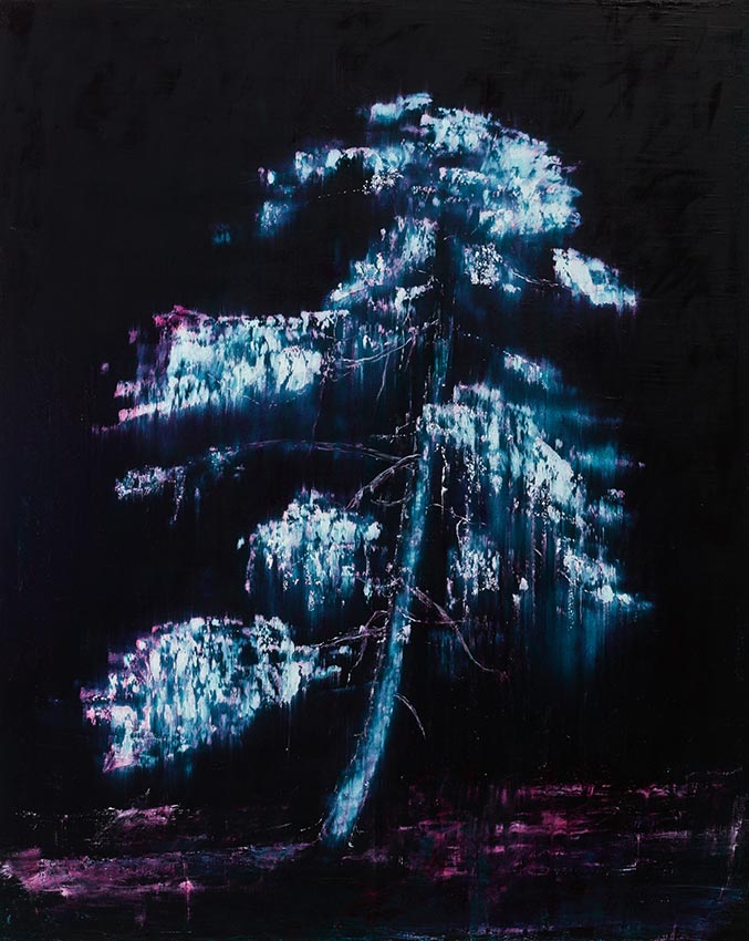 Broken Pine Nocturne by Tim Summerton 
