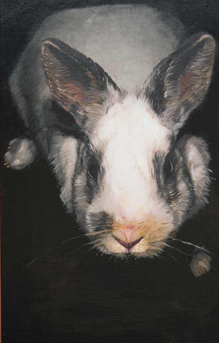 Rabbit Study by James McGrath 