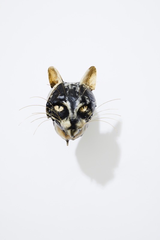 Cat by Anna-Wili Highfield 