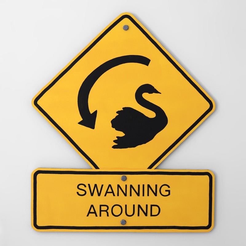 Swanning Around (Sign) by Kenny Pittock 