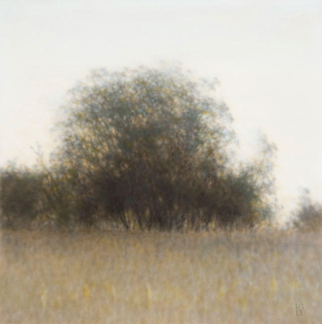 Single Tree II by Ian Grant at Olsen Gallery