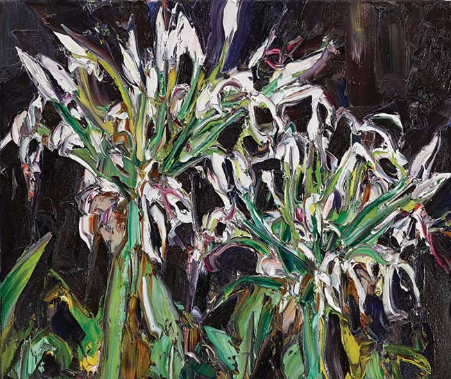 Wooli Garden (fuchsia frangipani) by Nicholas Harding at Olsen Gallery