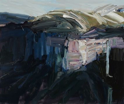 Dangar Falls by Guy Maestri at Olsen Gallery