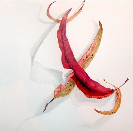 Gum Leaves XXIII by James Gordon at Olsen Gallery