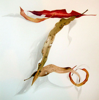 Gum Leaves XXV by James Gordon at Olsen Gallery