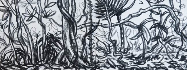 Drawing c.1995 (rainforest) Booth