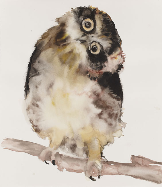 Night owl McMonagle