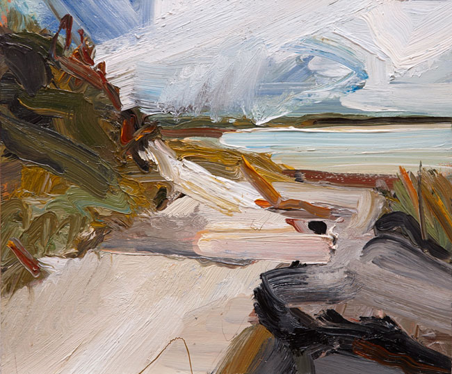 Coastal landscape V by Robert Malherbe at Olsen Gallery