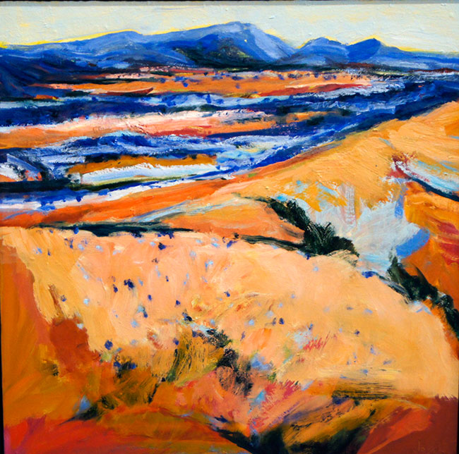 Canyon Country by Jo Bertini at Olsen Gallery