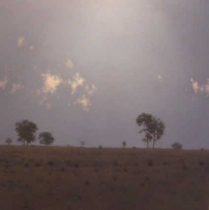 Hillside (Toward the Sun) by Ian Grant at Olsen Gallery