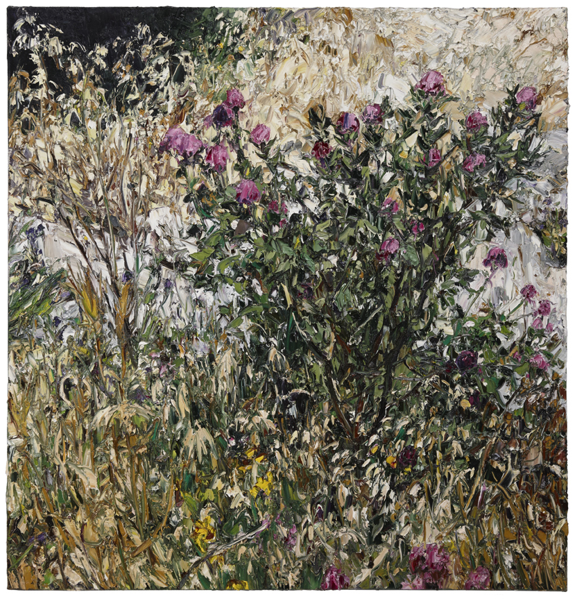 Cannamara still life (Hugo's wildflowers) by Nicholas Harding at Olsen Gallery
