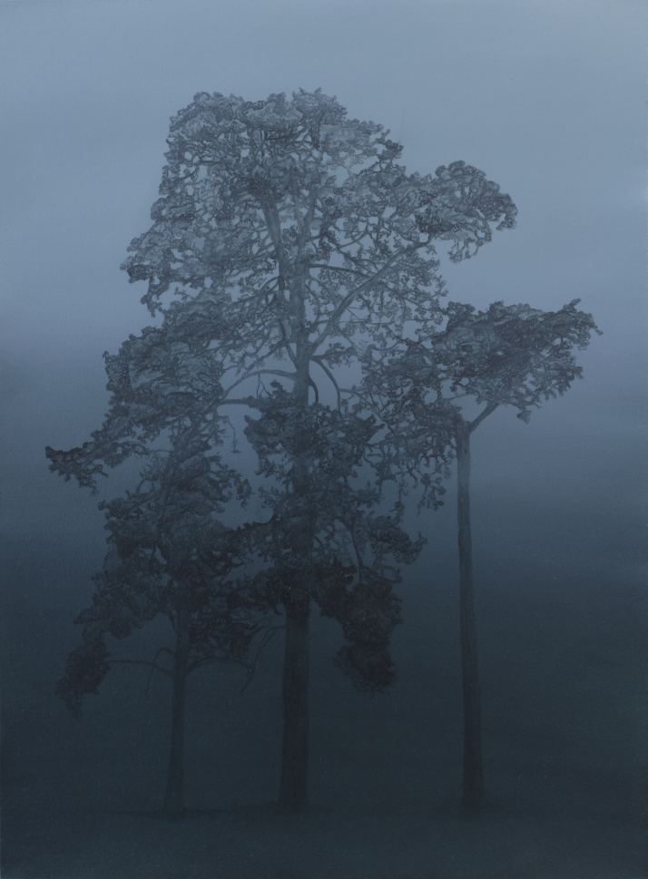 Twilight Pines by Kathryn Ryan at Olsen Gallery