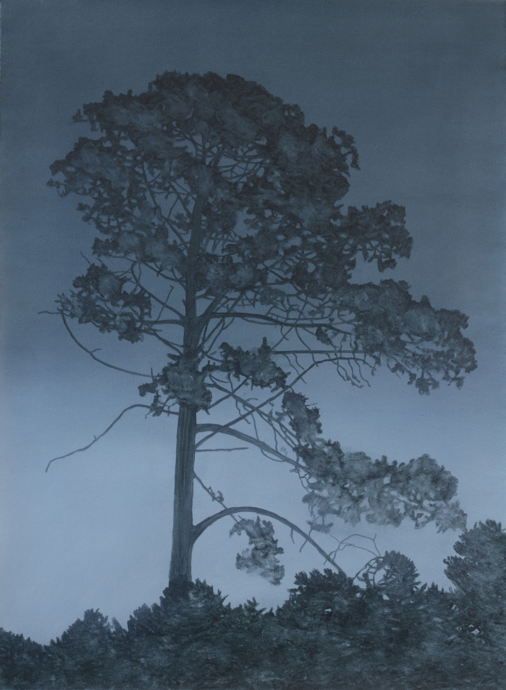 Botanic Garden Pines by Kathryn Ryan at Olsen Gallery
