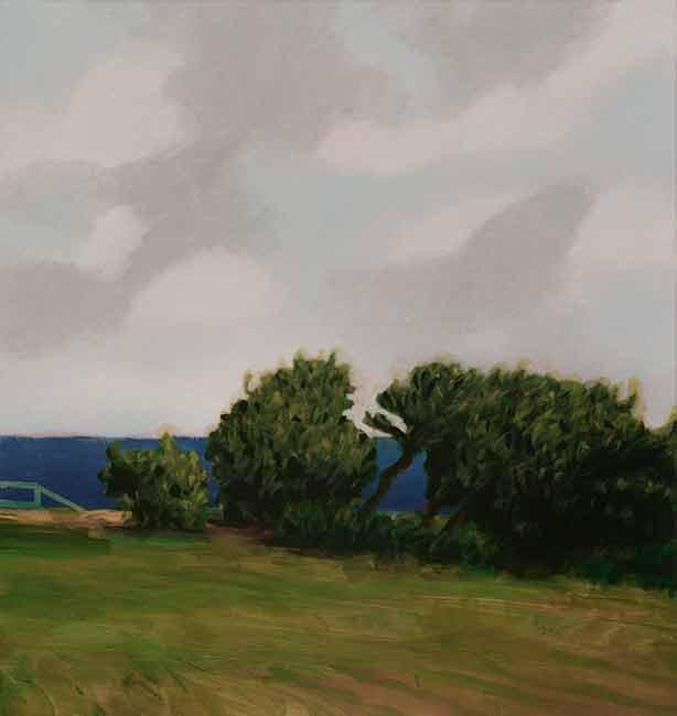 Painting 145 (Dunningham Reserve) Jones