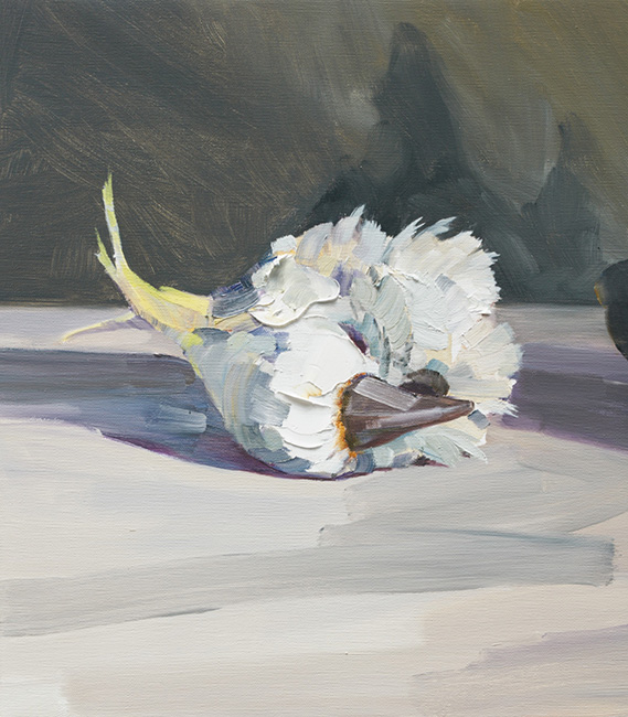 Feral no. 16 by Guy Maestri at Olsen Gallery