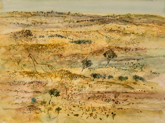 Landscape with Emu, Silverton Warren