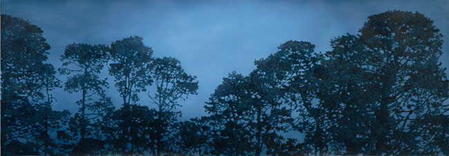 Birregurra Pines by Kathryn Ryan at Olsen Gallery