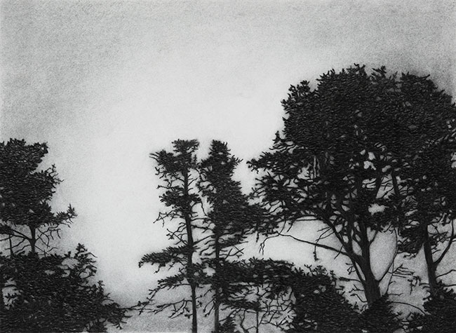 Nocturnal Pines by Kathryn Ryan at Olsen Gallery