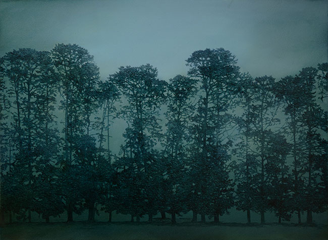 Winchelsea Pines by Kathryn Ryan at Olsen Gallery