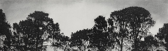 Winchelsea Pines by Kathryn Ryan at Olsen Gallery