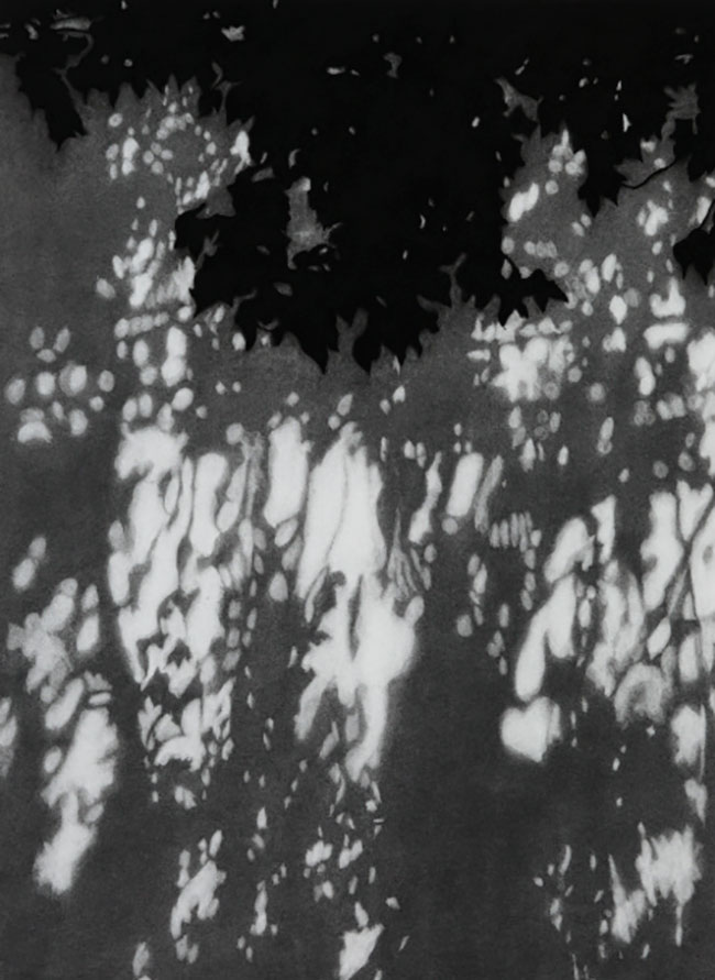 Hopkins River Shadow #3 by Kathryn Ryan at Olsen Gallery