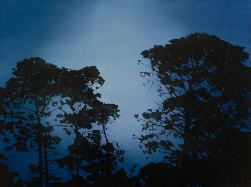 Illuminated Pines by Kathryn Ryan at Olsen Gallery