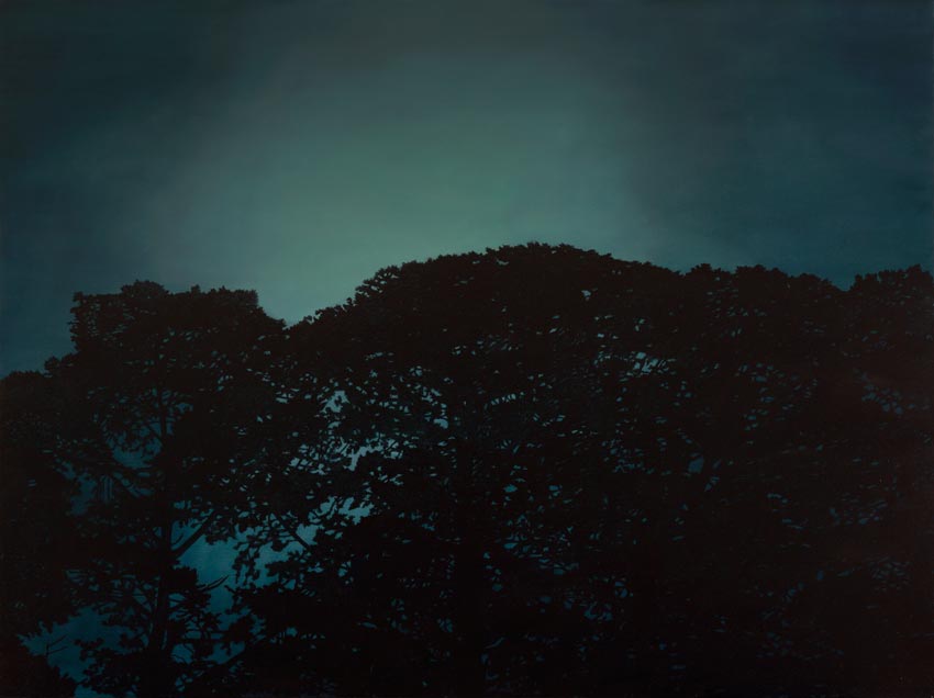 Nightfall Silhouette by Kathryn Ryan at Olsen Gallery
