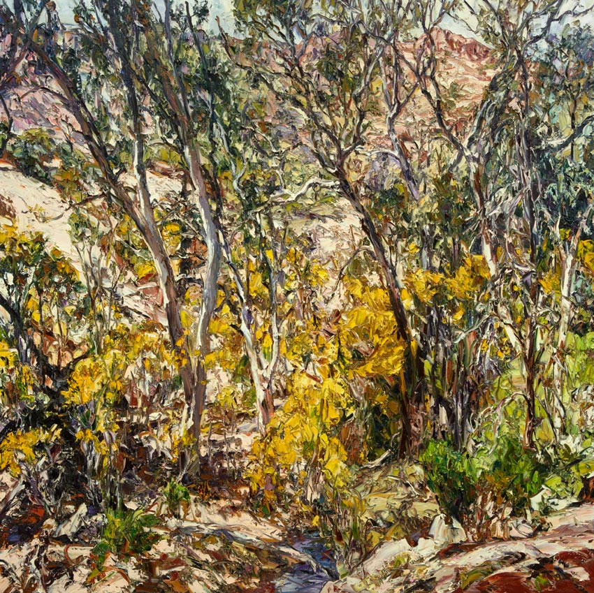 Wiljakali Saltbush by Nicholas Harding at Olsen Gallery