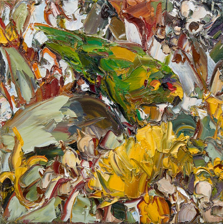 Orroroo Parrot (1) by Nicholas Harding at Olsen Gallery