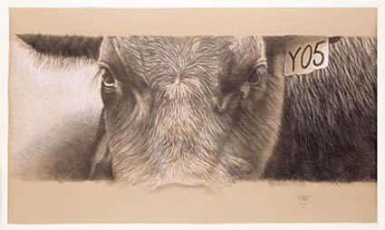 Bull II by Angus McDonald at Olsen Gallery