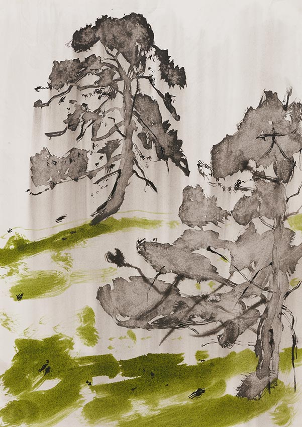 Broken Pine II by Tim Summerton at Olsen Gallery