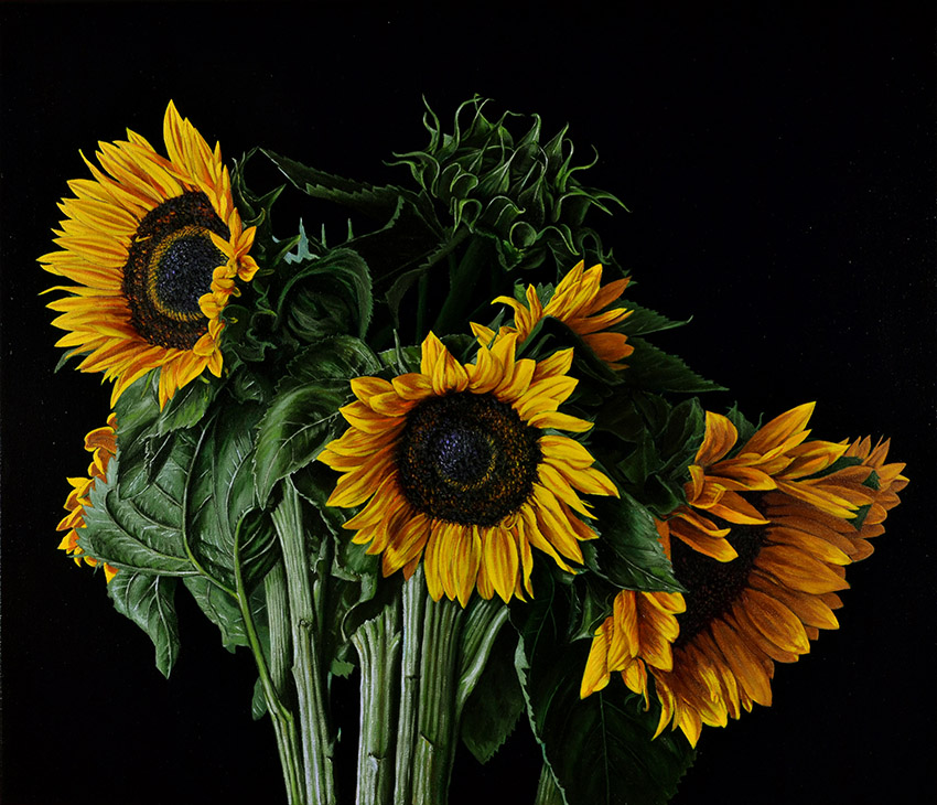Still Life with Sunflowers Beaumont