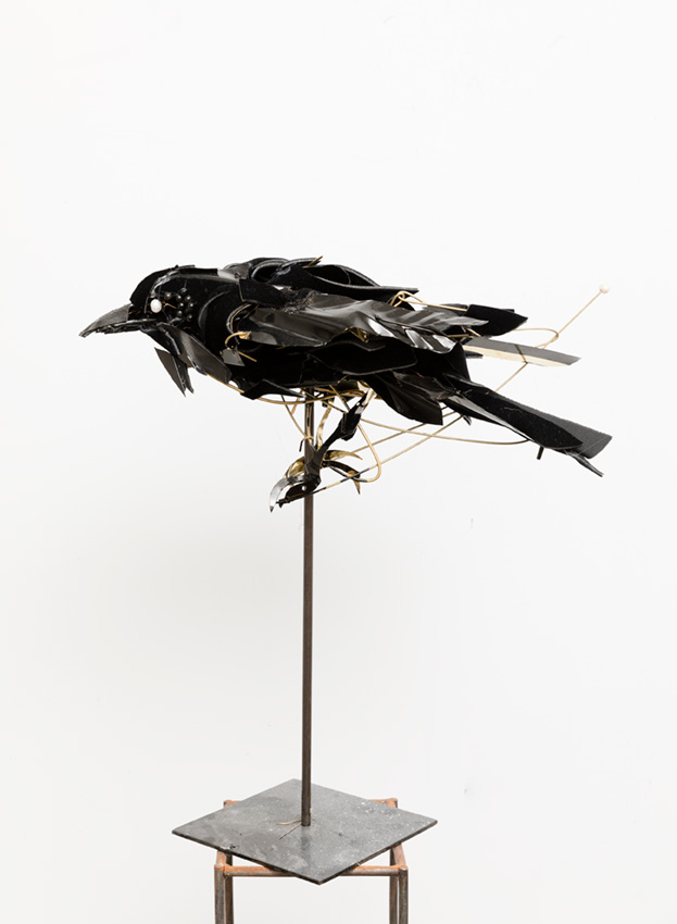 Raven by Anna-Wili Highfield