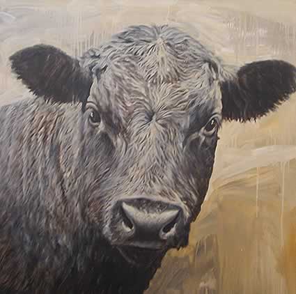 Bull III by Angus McDonald at Olsen Gallery