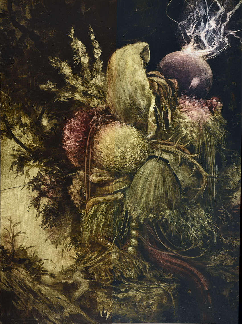 College (fungi) by Peter Gardiner at Olsen Gallery