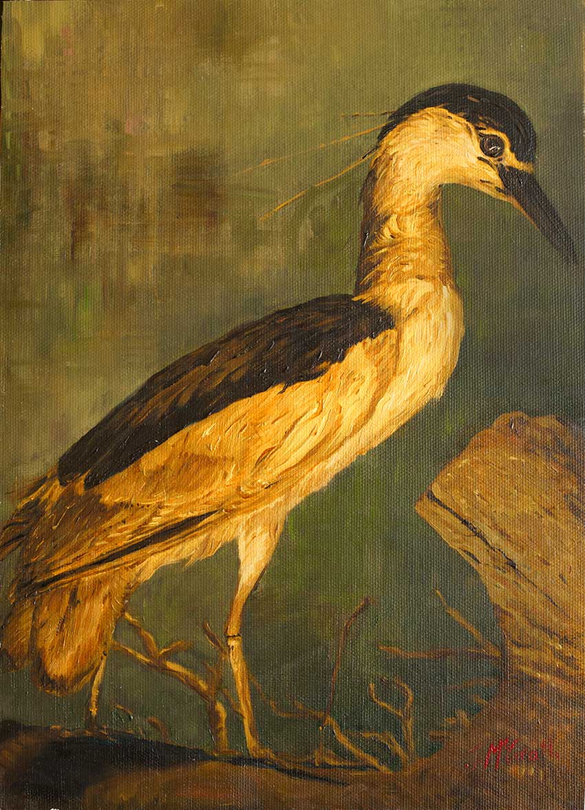 Study of Heron by James McGrath at Olsen Gallery