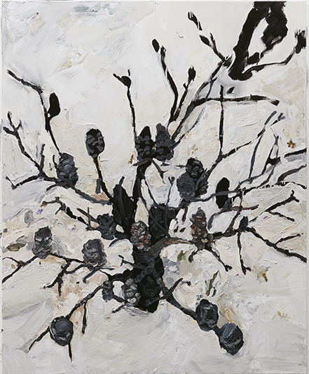Burnt Banksia #2 by Laura Jones at Olsen Gallery
