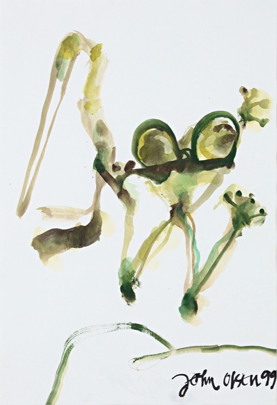 Tree Frog (untitled) by John Olsen