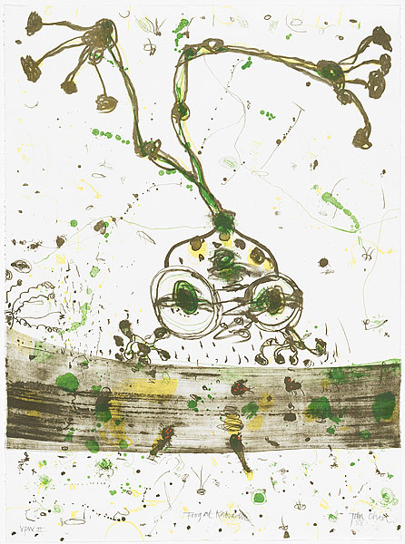 Frog at Kakadu by John Olsen