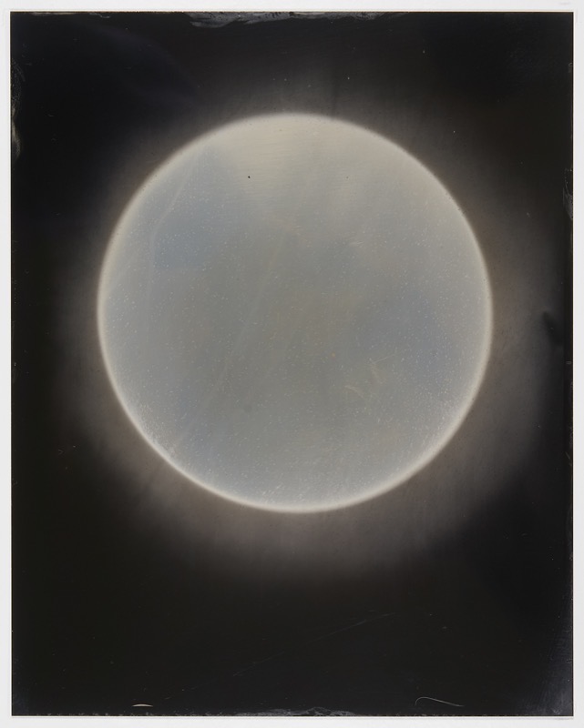 Sun #38 by Melissa Coote at Olsen Gallery