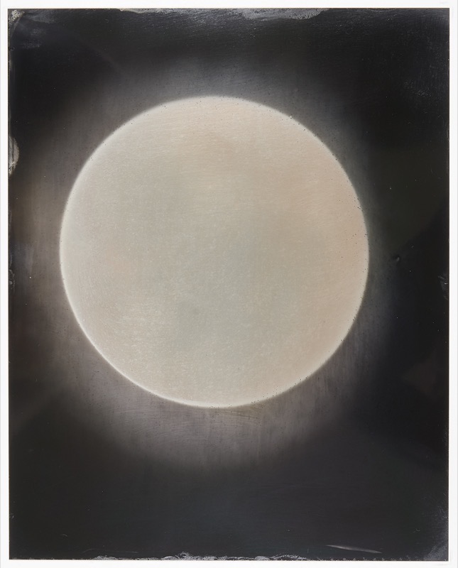 Sun #94 by Melissa Coote at Olsen Gallery