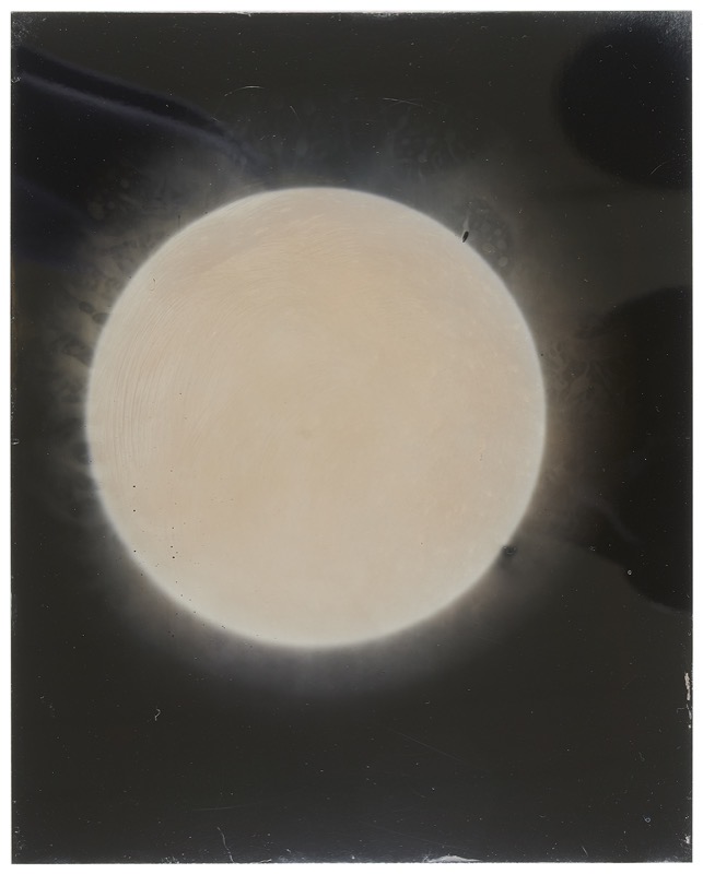 Sun #73 by Melissa Coote at Olsen Gallery