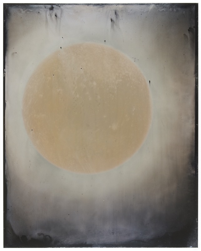 Sun #70 by Melissa Coote at Olsen Gallery
