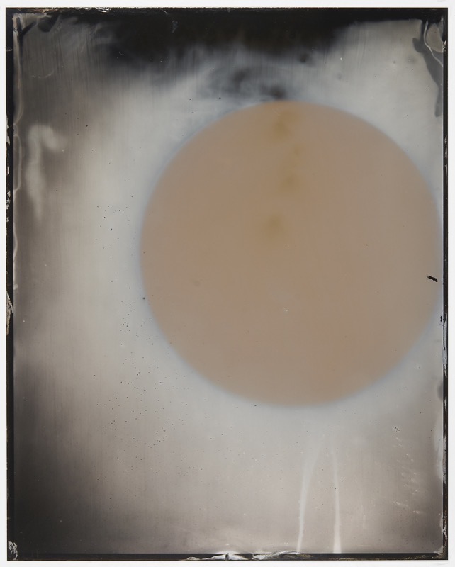 Sun #55 by Melissa Coote at Olsen Gallery