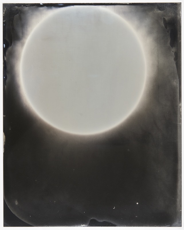 Sun #53 by Melissa Coote at Olsen Gallery