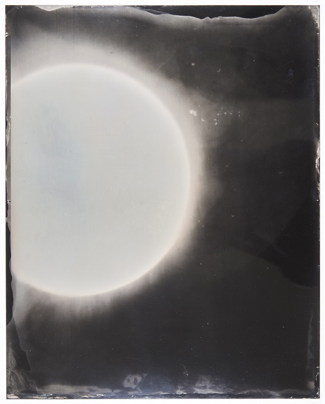 Sun #105 by Melissa Coote at Olsen Gallery