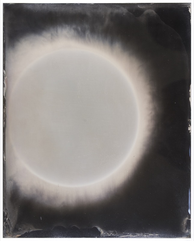 Sun #48 by Melissa Coote at Olsen Gallery