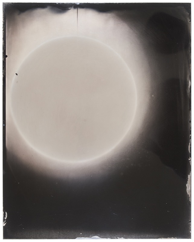 Sun #45 by Melissa Coote at Olsen Gallery
