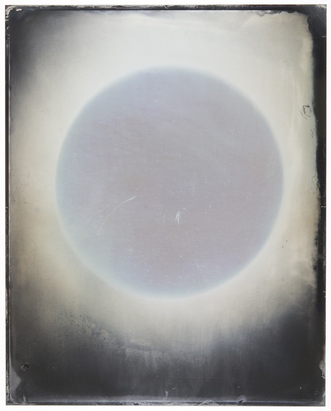 Sun #79 by Melissa Coote at Olsen Gallery